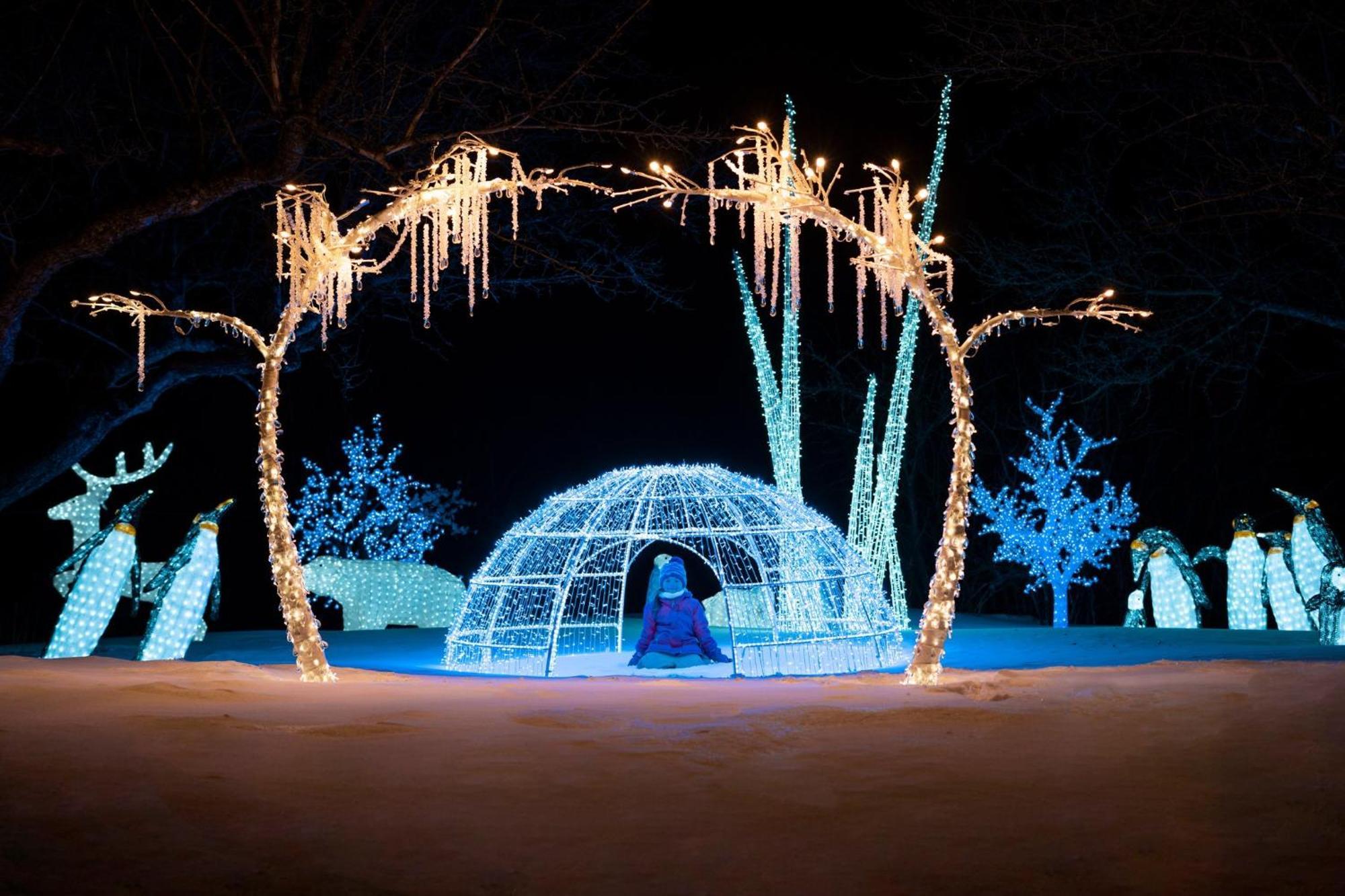 Holiday Inn Laval Montreal By Ihg Buitenkant foto